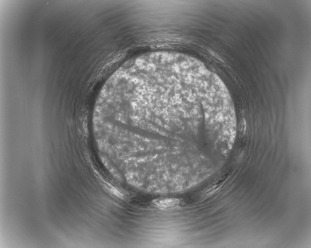 X0000051890452200507222020