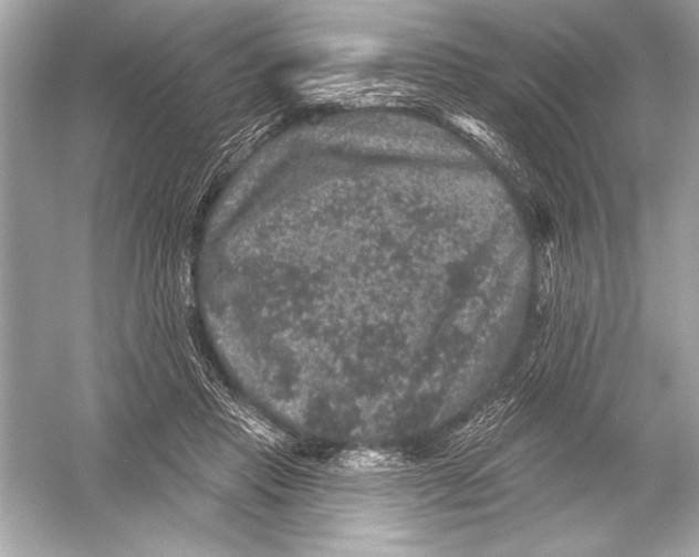 X0000051890453200507222020