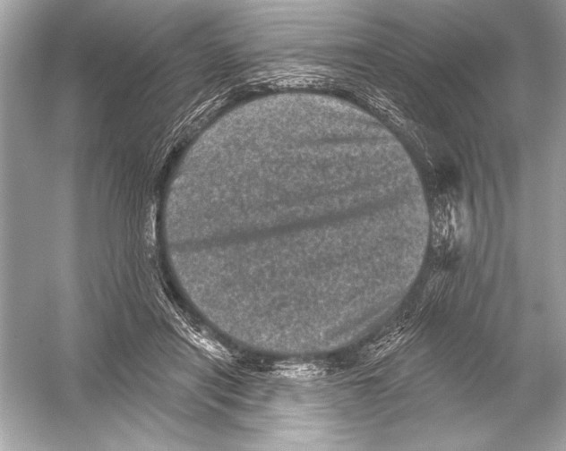 X0000051890454200507222020