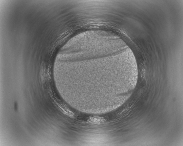 X0000051890455200507222020