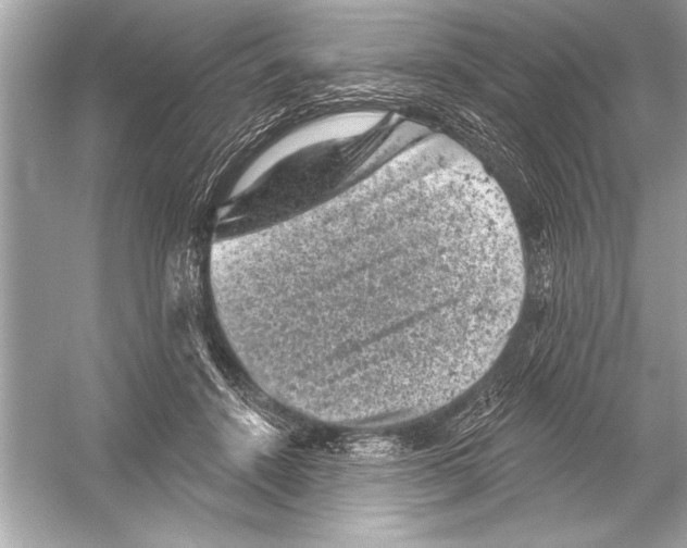 X0000051890456200507222020