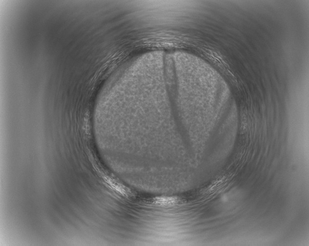 X0000051890457200507222020