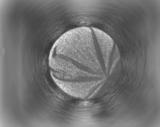 X0000051890460200507222020