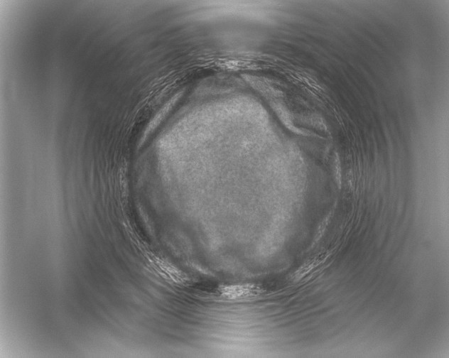 X0000051890461200507222020