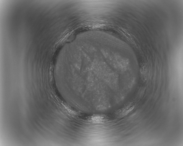 X0000051890462200507222020