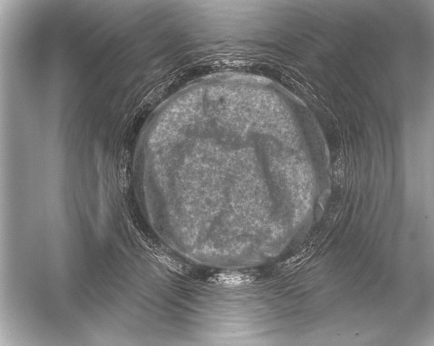 X0000051890464200507222020