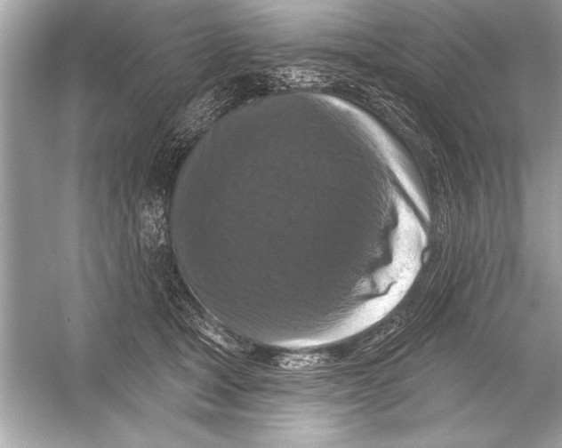 X0000051890465200507222020