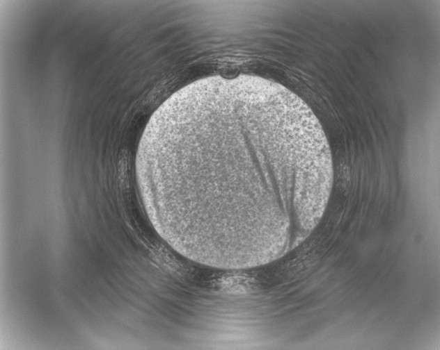 X0000051890468200507222020