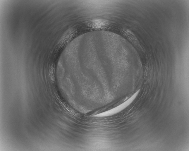 X0000051890470200507222020