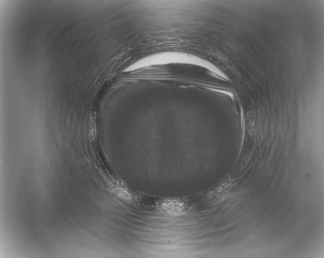 X0000051890471200507222020