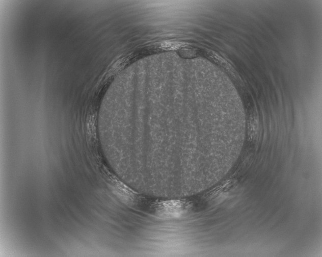 X0000051890473200507222020