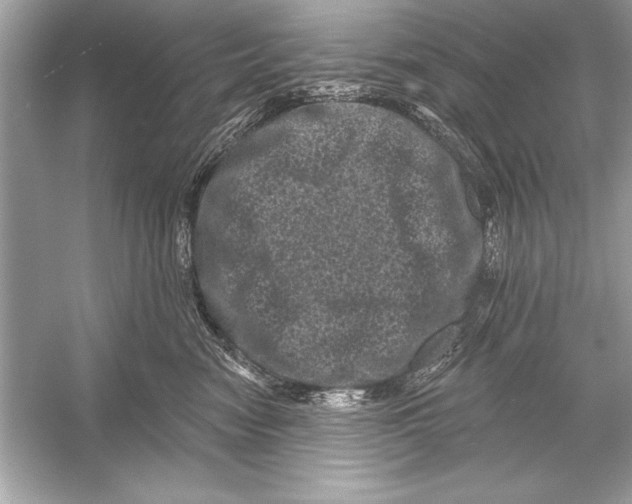 X0000051890474200507222020