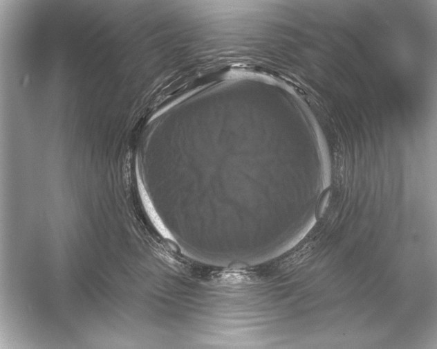 X0000051890475200507222020