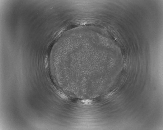 X0000051890478200507222020