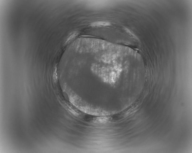 X0000051890479200507222020