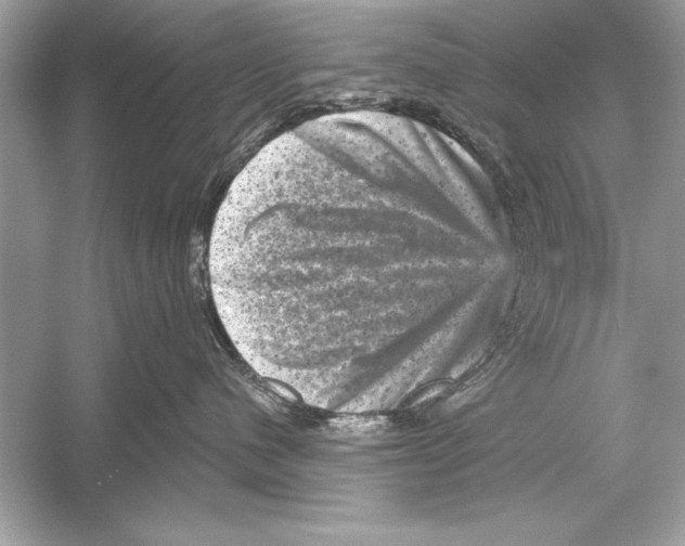 X0000051890480200507222021