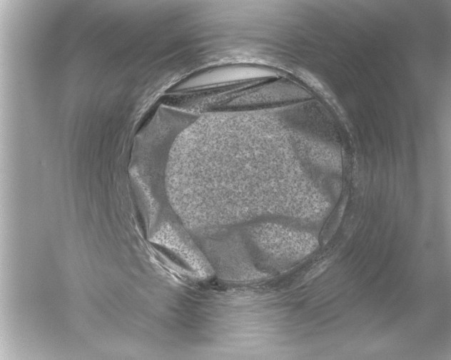 X0000051890481200507222020