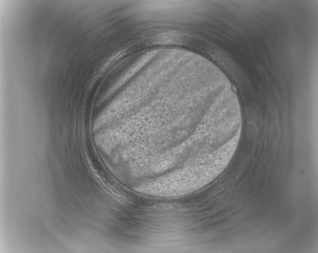 X0000051890482200507222020