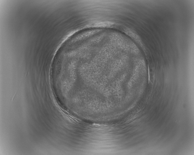 X0000051890483200507222020