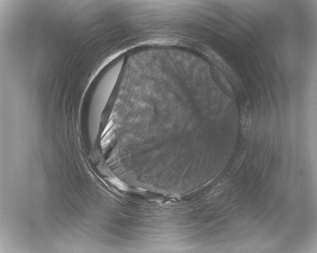 X0000051890484200507222020