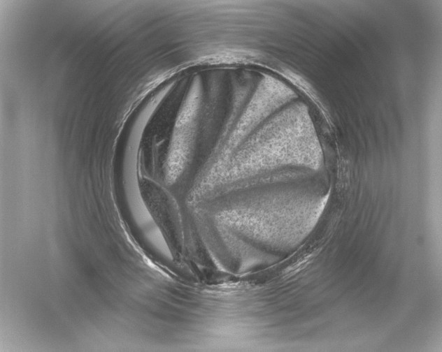 X0000051890485200507222020