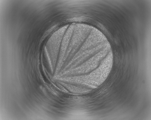 X0000051890486200507222020