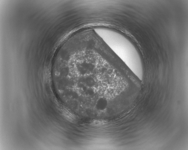 X0000051890487200507222020