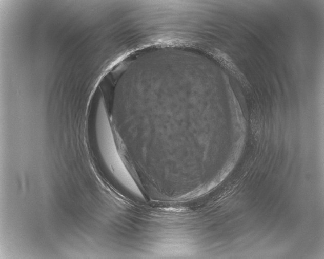 X0000051890488200507222020