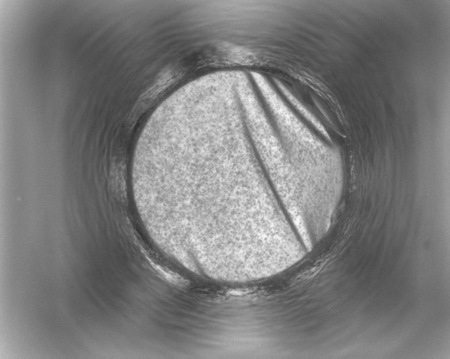 X0000051890489200507222020