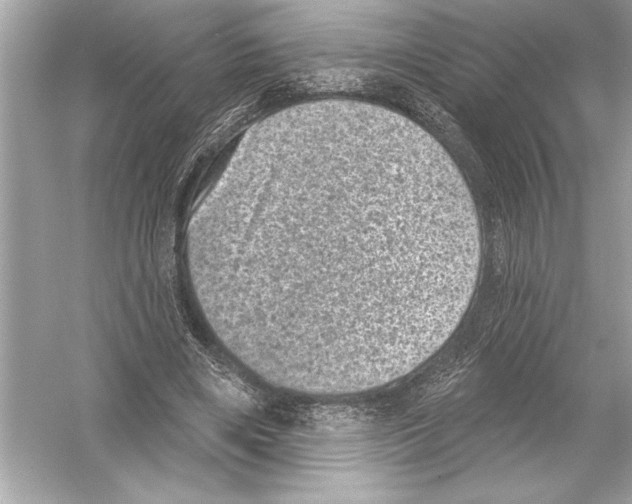 X0000051890490200507222020