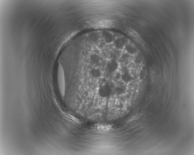 X0000051890491200507222020