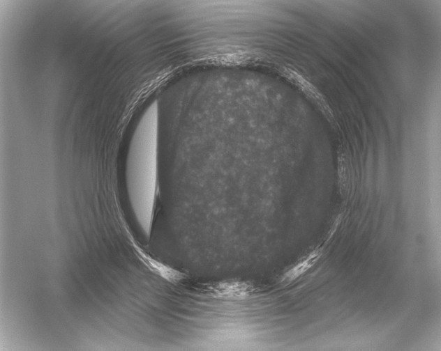 X0000051890493200507222019