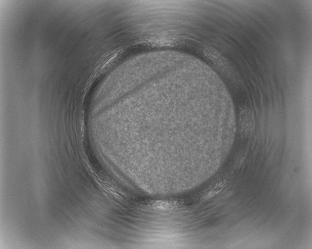 X0000051890494200507222019