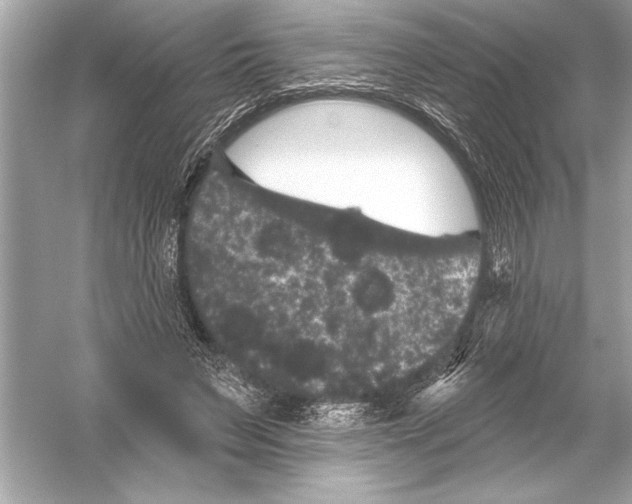 X0000051890495200507222019