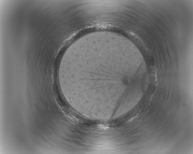 X0000051890496200507222019