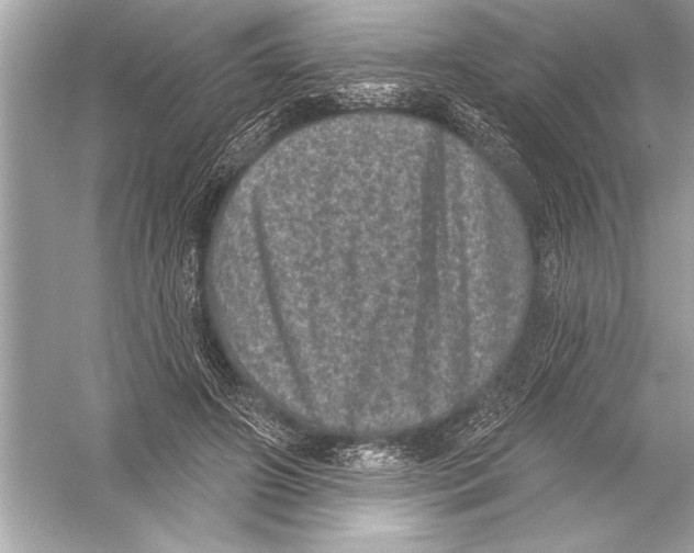 X0000051890498200507222019