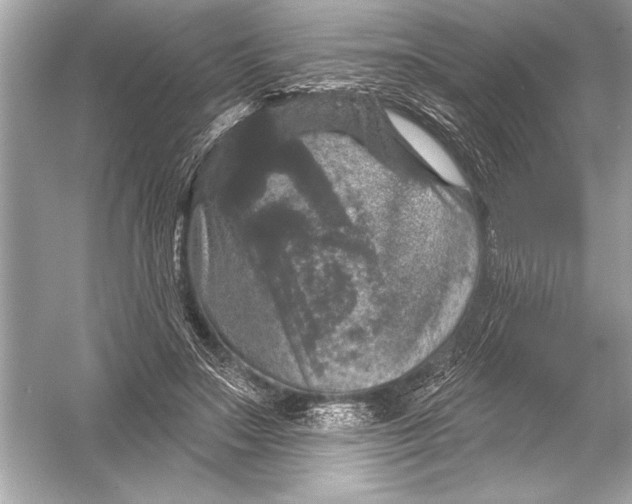 X0000051890499200507222019