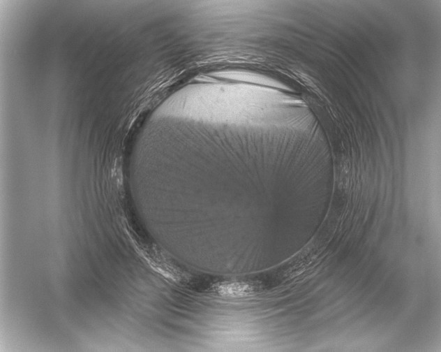 X0000051890500200507222019