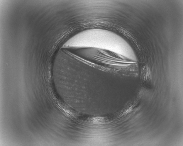 X0000051890501200507222019