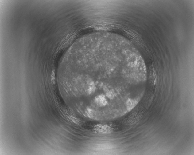 X0000051890502200507222019