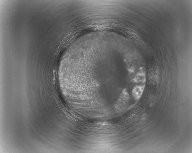 X0000051890503200507222019