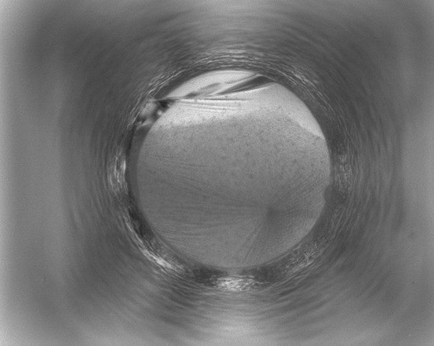 X0000051890504200507222019