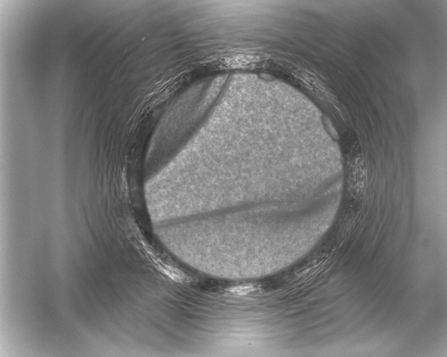 X0000051890505200507222019