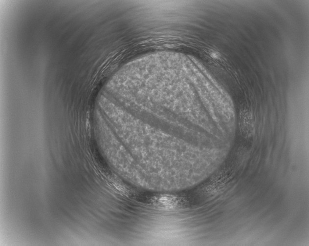 X0000051890506200507222019