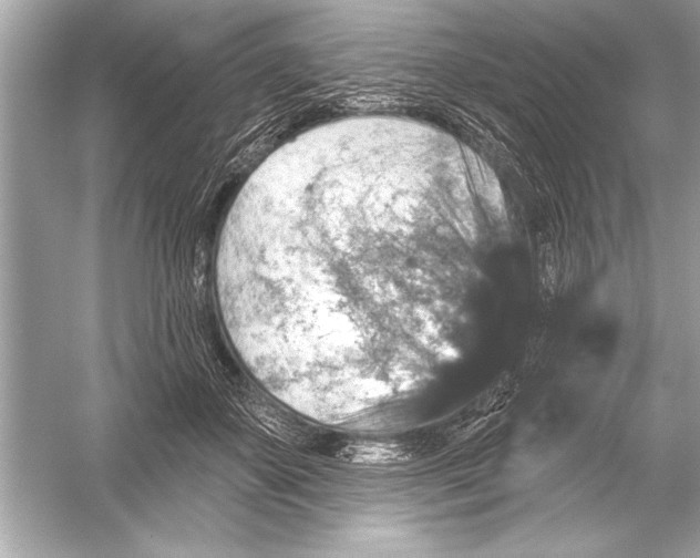 X0000051890507200507222019