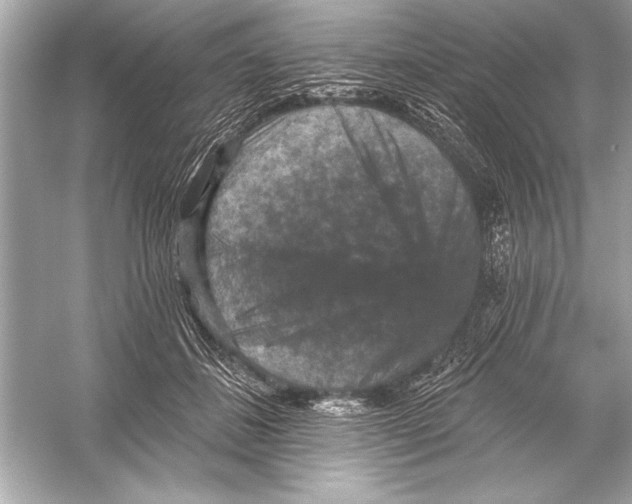 X0000051890508200507222019