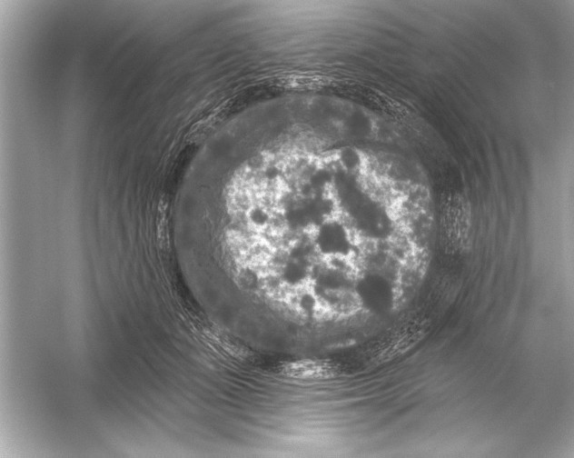 X0000051890511200507222019