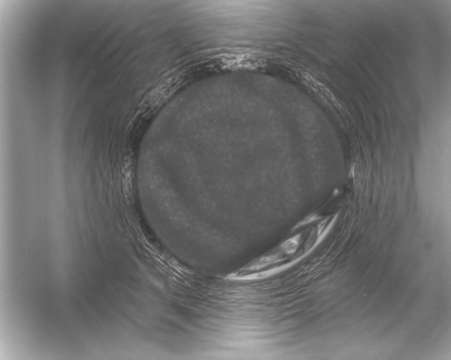 X0000051890513200507222019