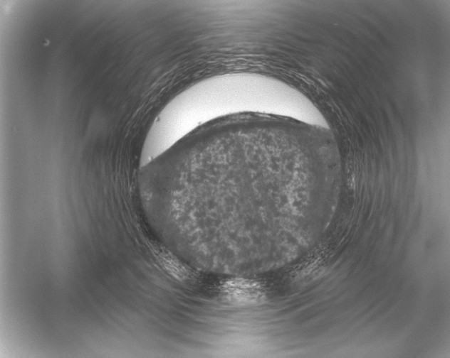 X0000051890515200507222019