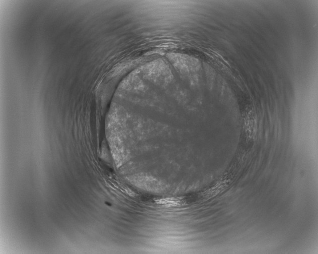 X0000051890516200507222019